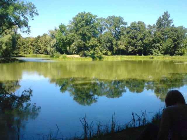 Meine wilde Nacht auf der Luxusyacht des dominanten CEOs